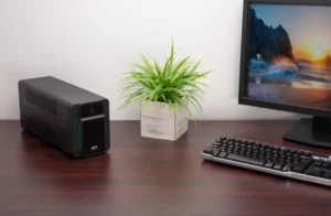 BVX900LI-GR UPS